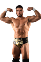 Ethan Page