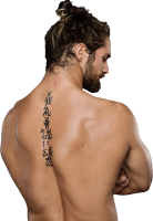 292_Seth_Rollins_cut_by_L3wap